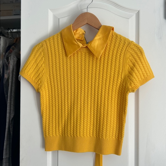 Alice and Olivia Abbott with collar - Picture 4 of 15